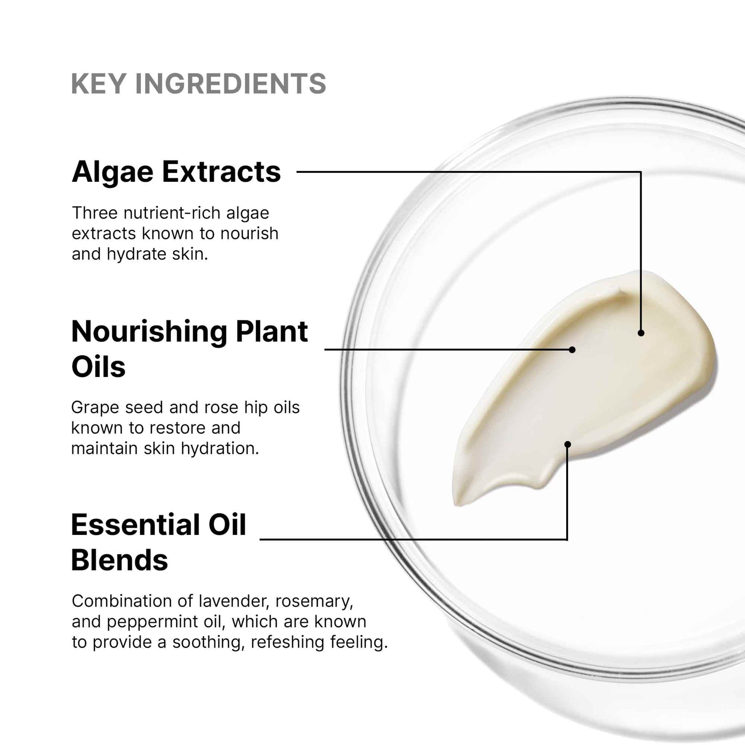 Image of product in the same collection as SkinCeuticals Emollience