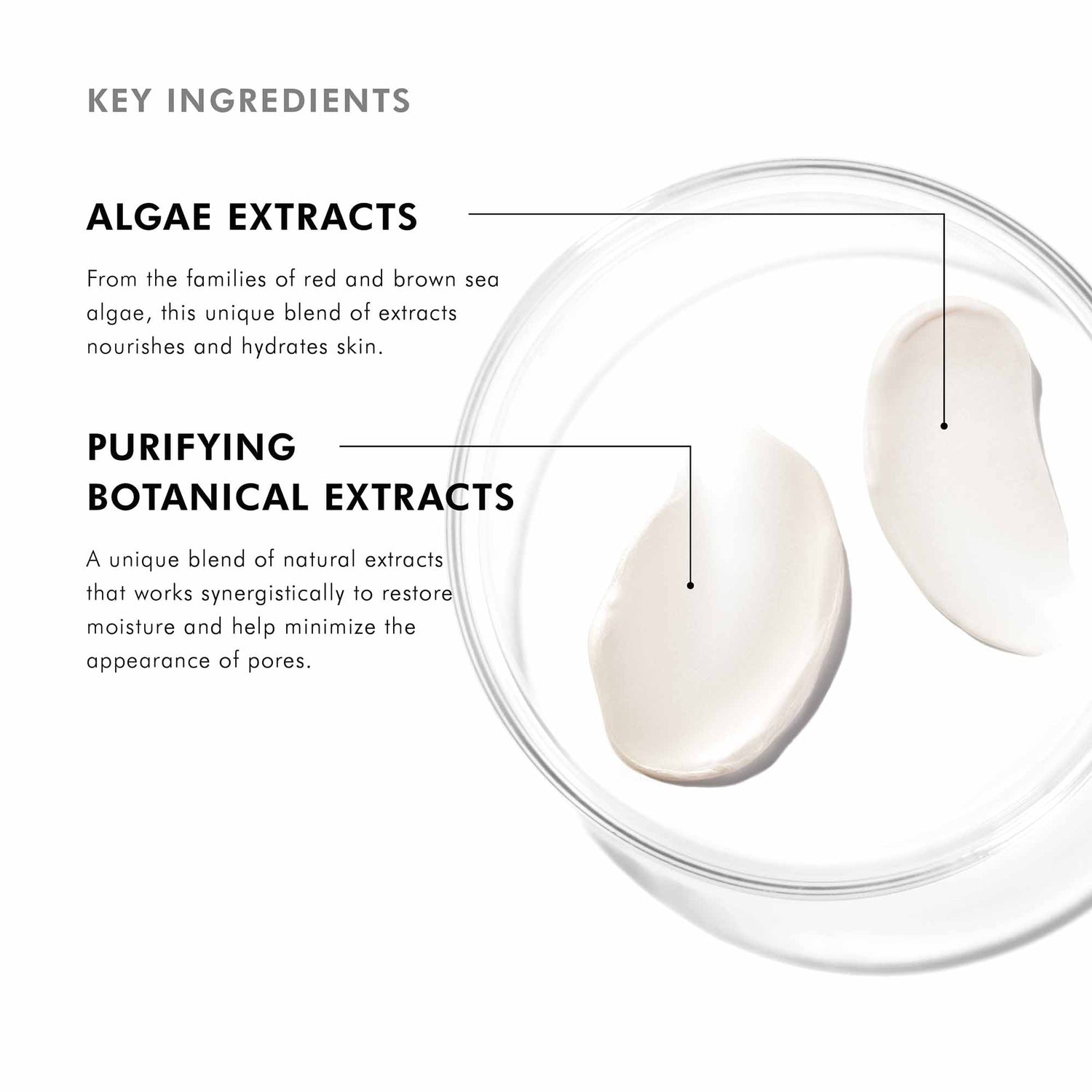 Image of product in the same collection as SkinCeuticals Daily Moisture