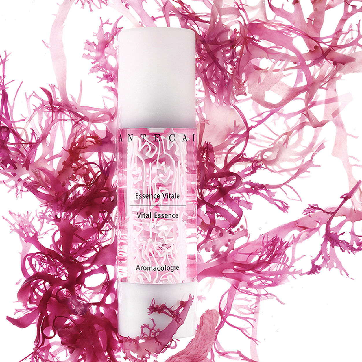 Lifestyle image of Chantecaille Vital Essence Face and Eye Serum