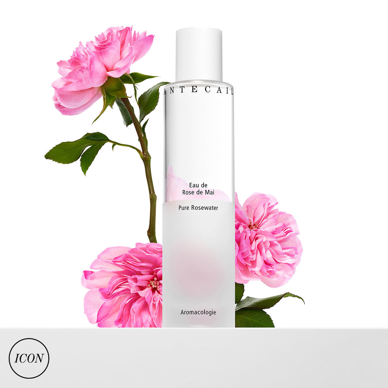 Lifestyle image of Chantecaille Pure Rosewater