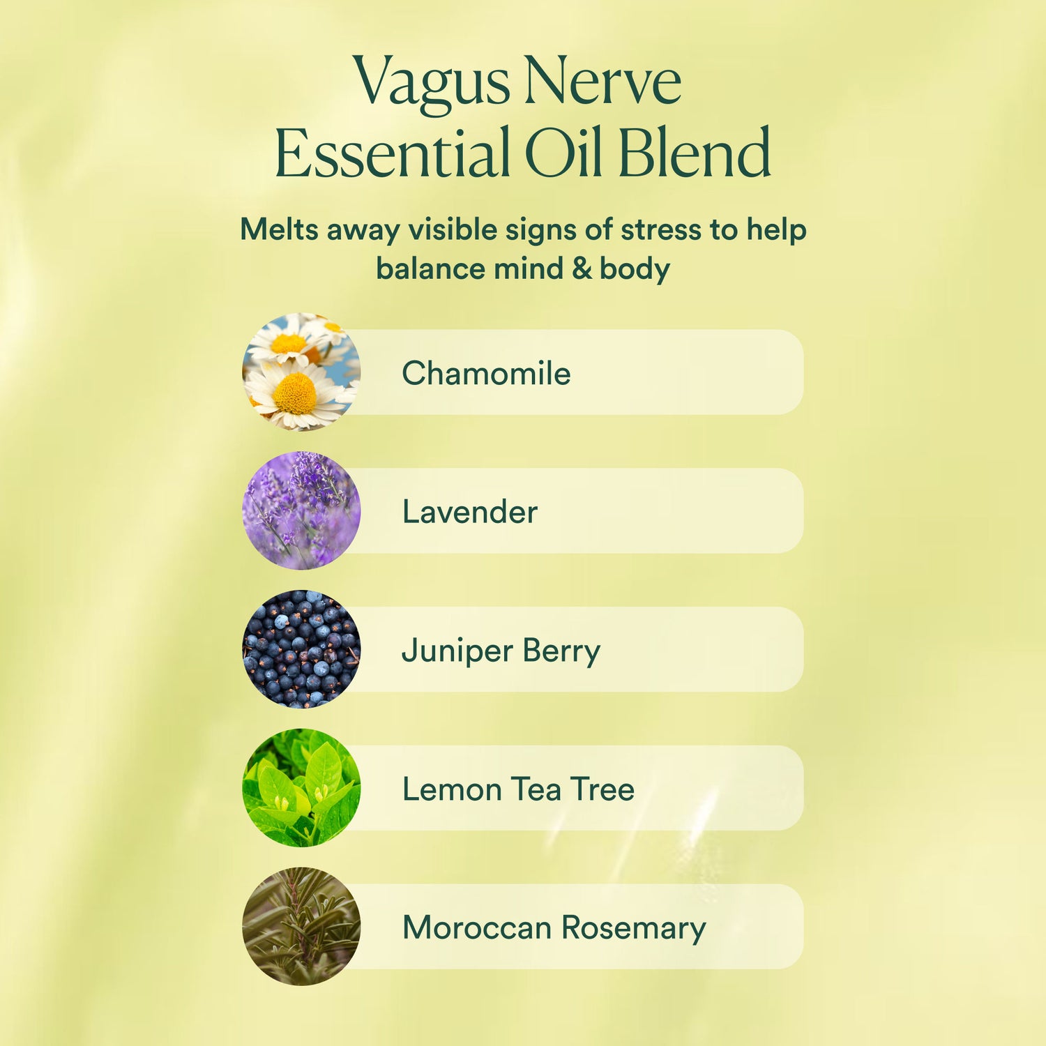 Information related to OSEA Vagus Nerve Oil