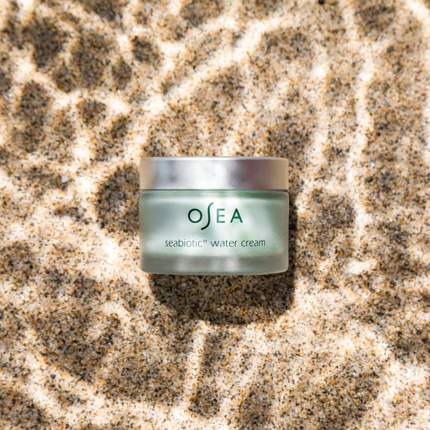 Lifestyle image of OSEA Seabiotic Water Cream