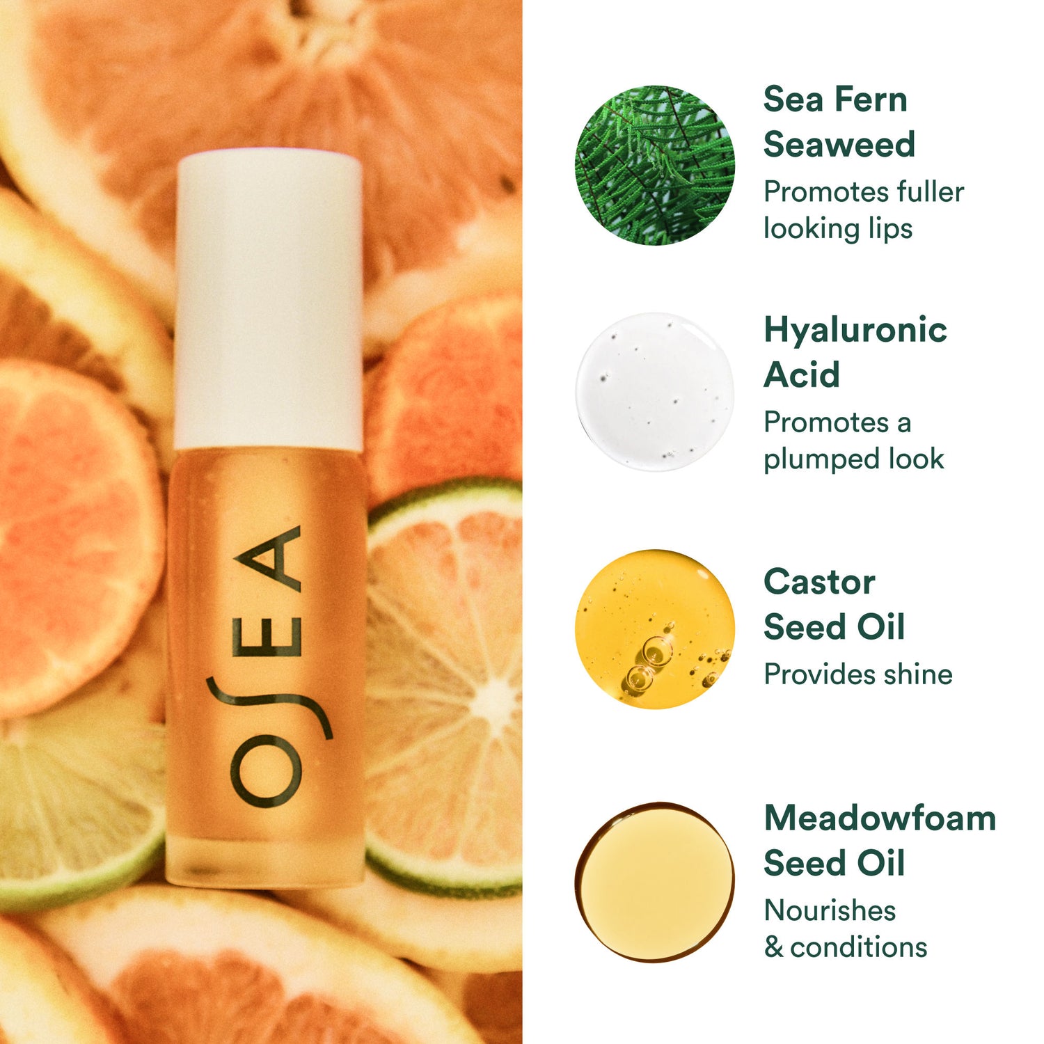 Information related to OSEA Hyaluronic Acid Lip Booster