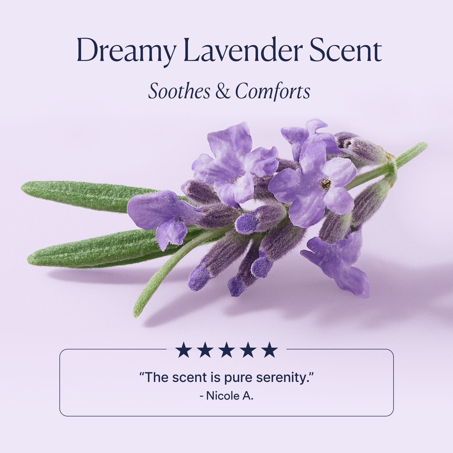 Information related to OSEA Dream Bio-Retinol Body Serum