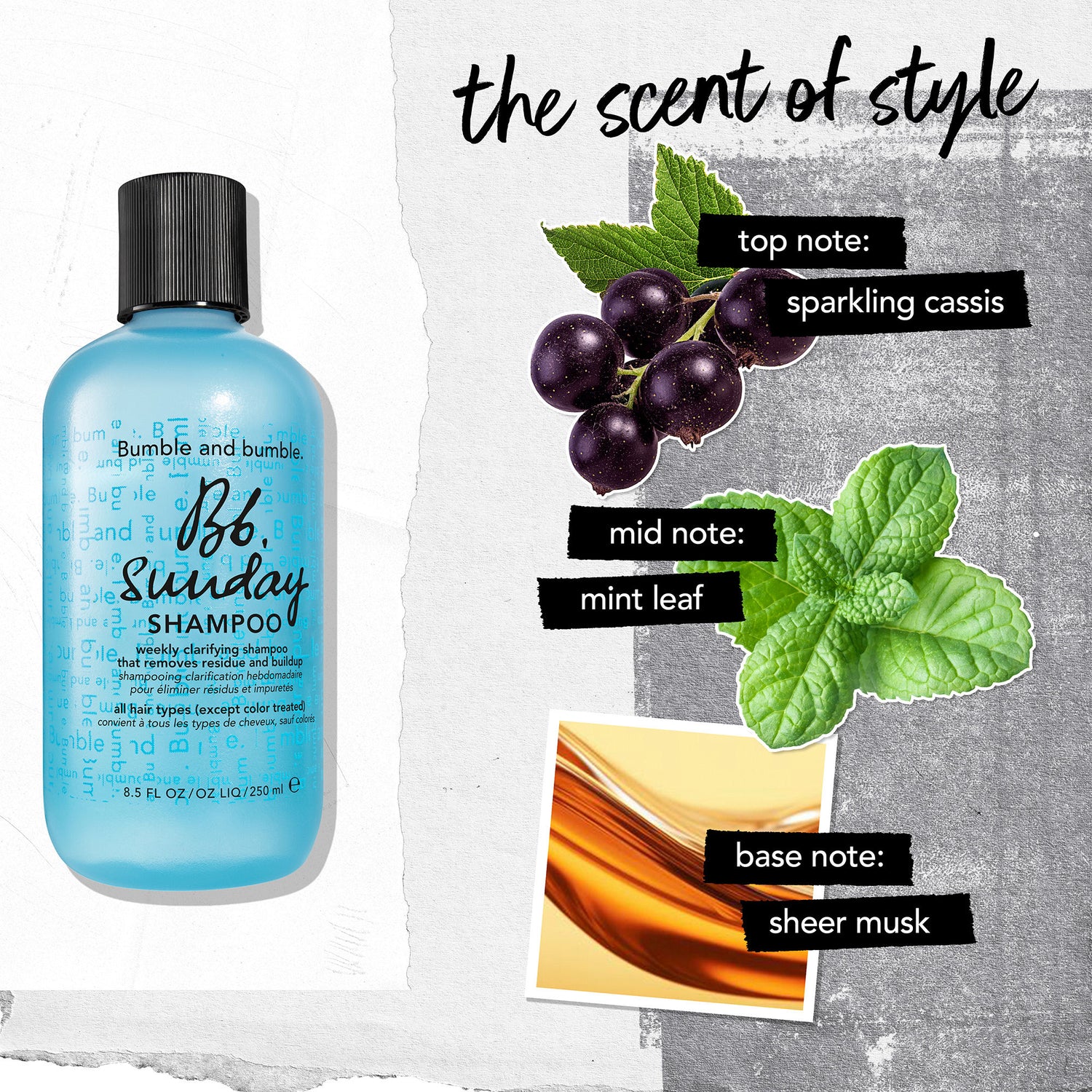 Information related to Bumble and Bumble Sunday Shampoo