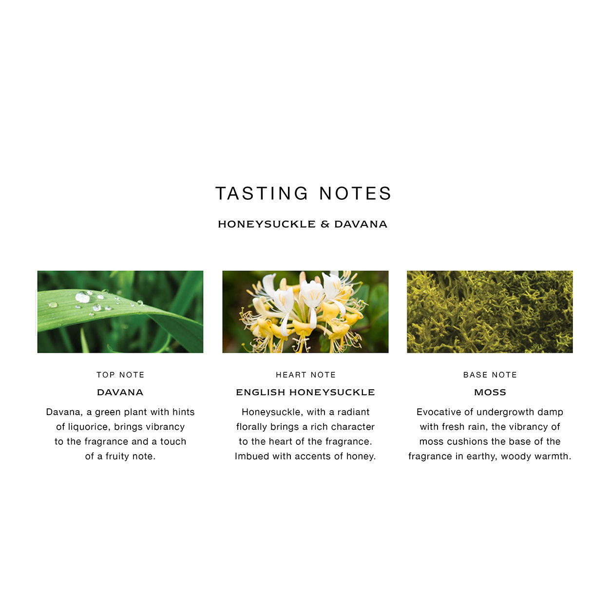 Lifestyle image of Jo Malone London Honeysuckle and Davana Home Candle