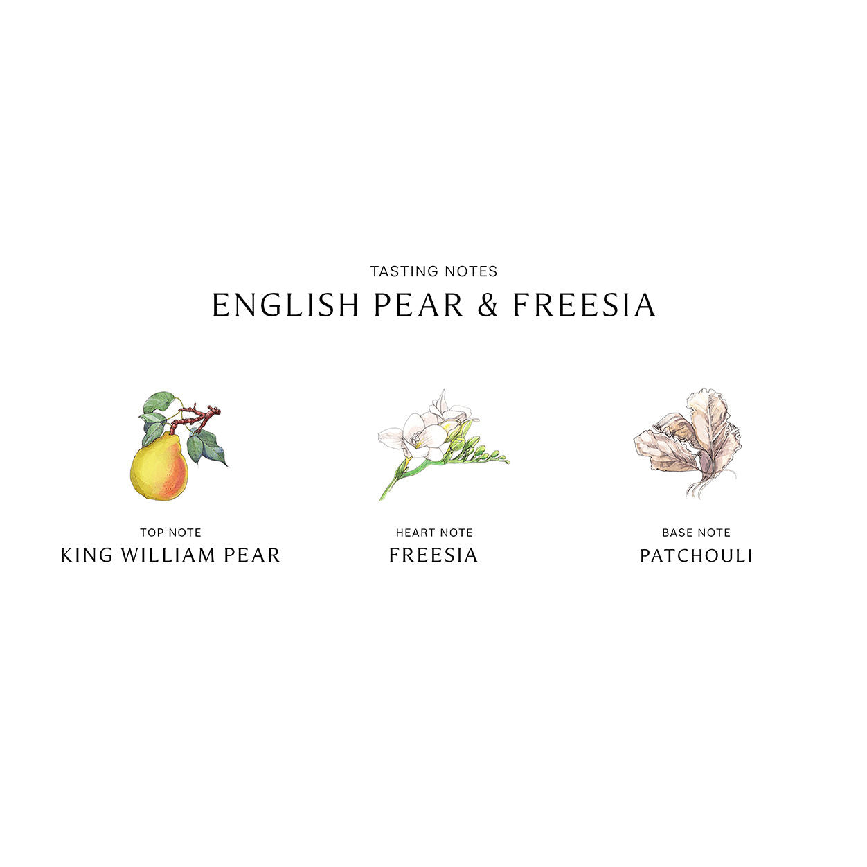 Information related to Jo Malone London English Pear & Freesia Body Mist