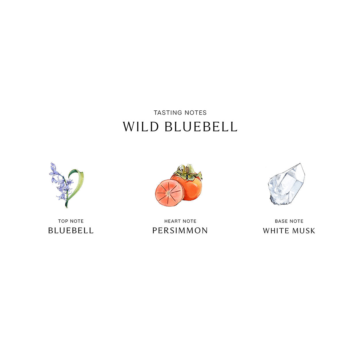 Information related to Jo Malone London Wild Bluebell Body Mist