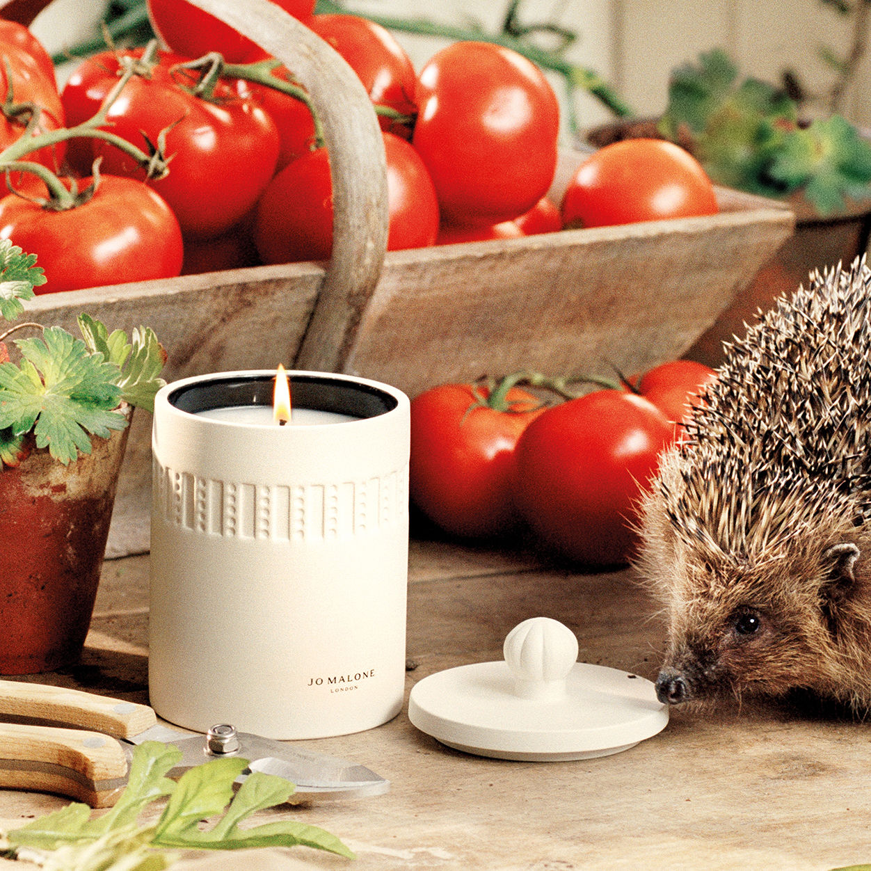 Lifestyle image of Jo Malone London Green Tomato Vine Townhouse Candle