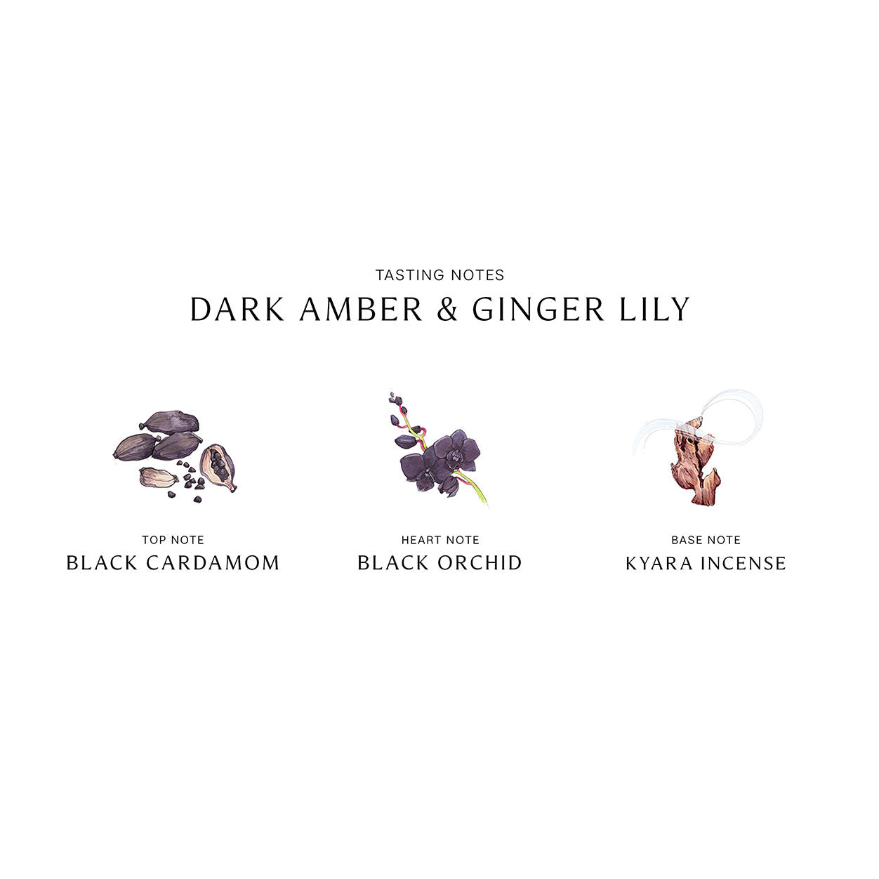 Information related to Jo Malone London Dark Amber and Ginger Lily Home Candle