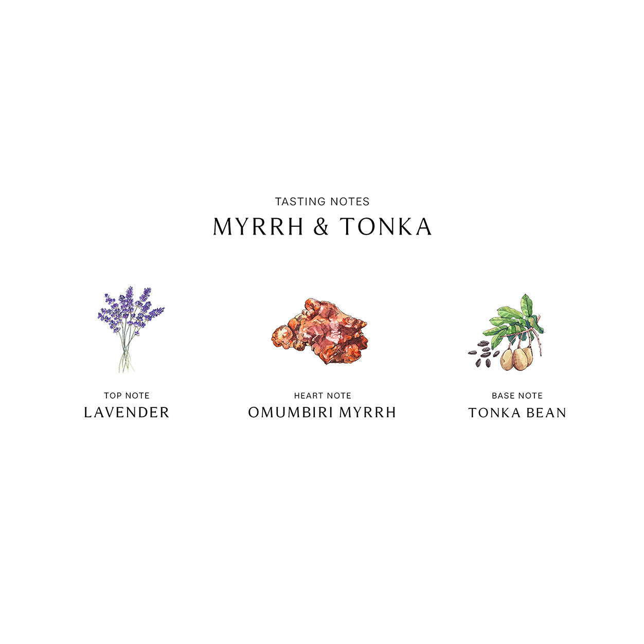 Information related to Jo Malone London Myrrh and Tonka Diffuser