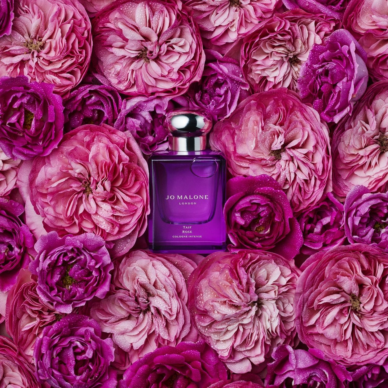 Lifestyle image of Jo Malone London Taif Rose Cologne Intense