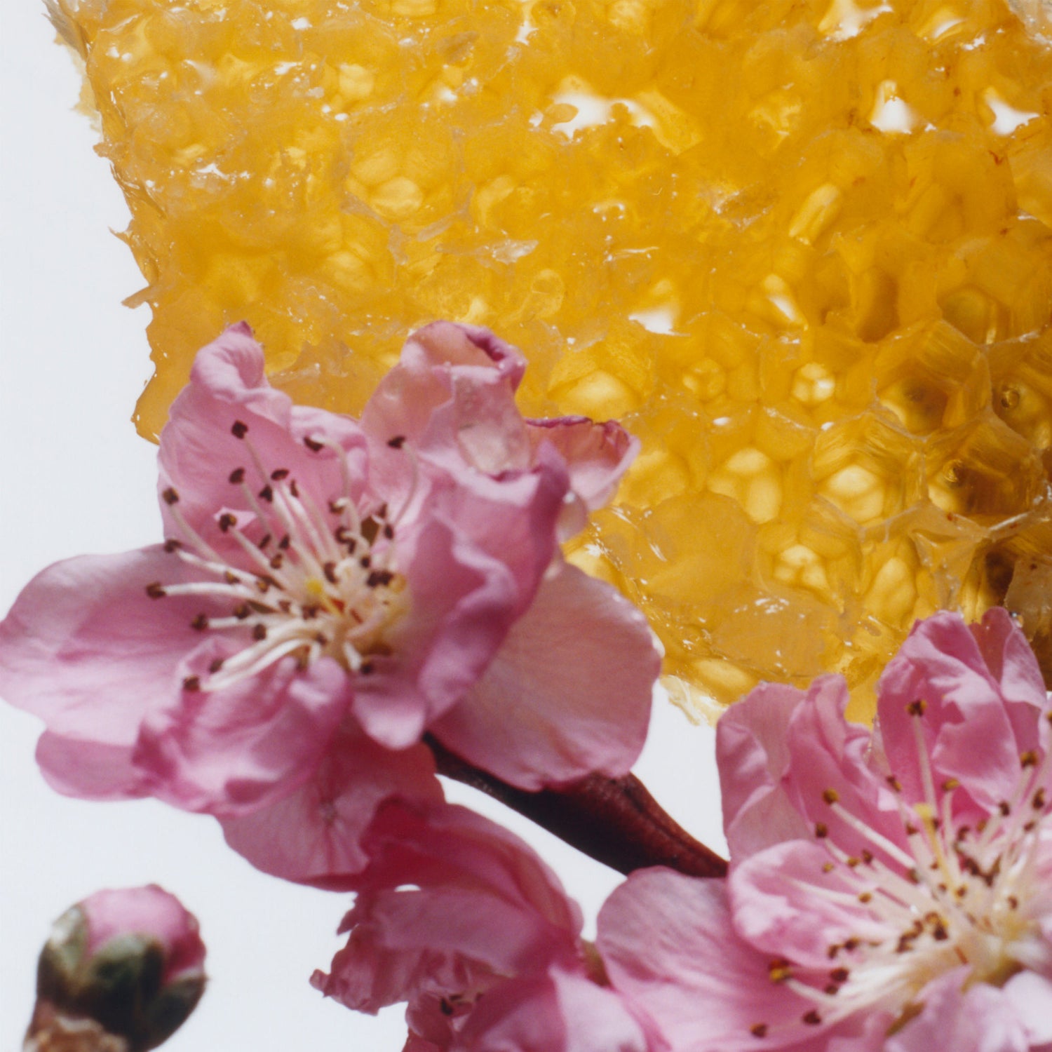 Image of an open Jo Malone London Nectarine Blossom & Honey Home & Away Duo (Limited Edition)