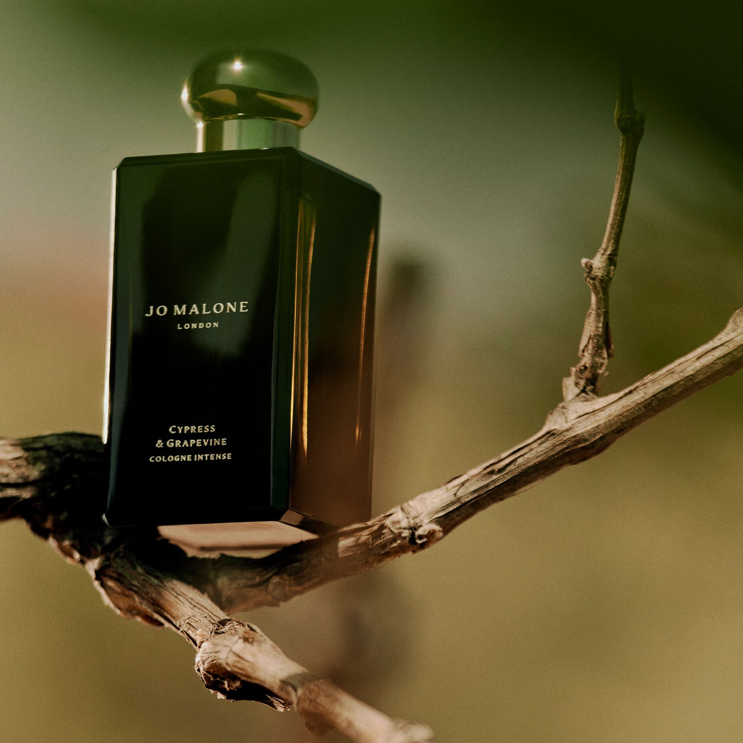 Lifestyle image of Jo Malone London Mini Cologne Intense Trio Holiday Gift Set (Limited Edition)