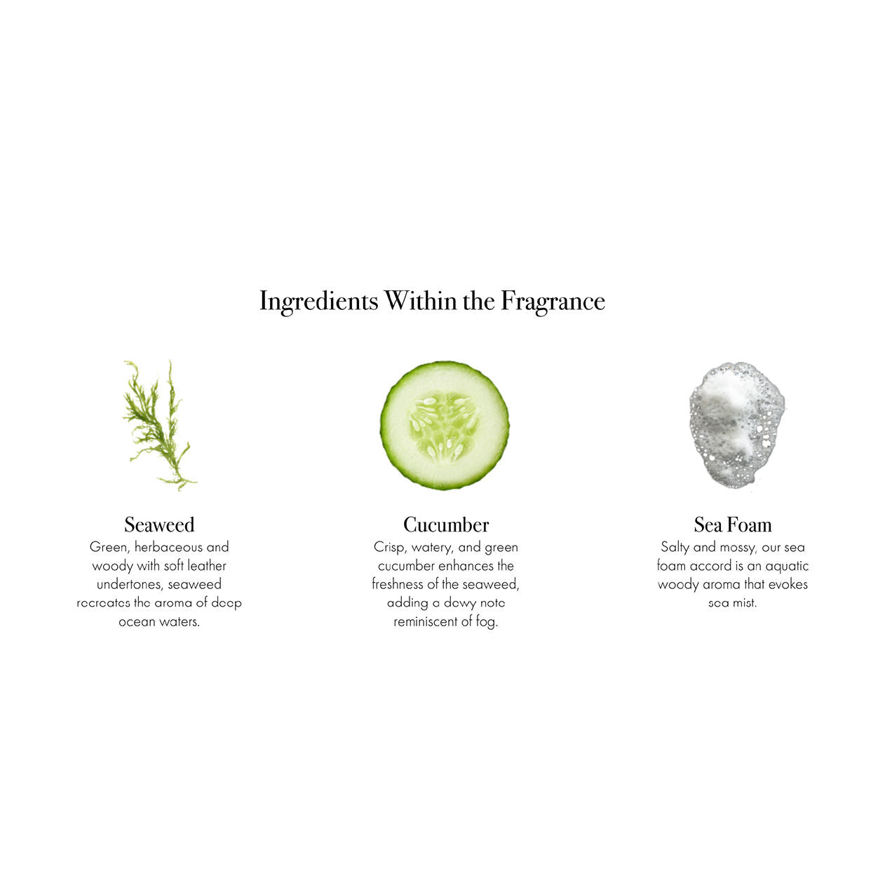 Information related to Lafco Fog and Mist Signature Candle