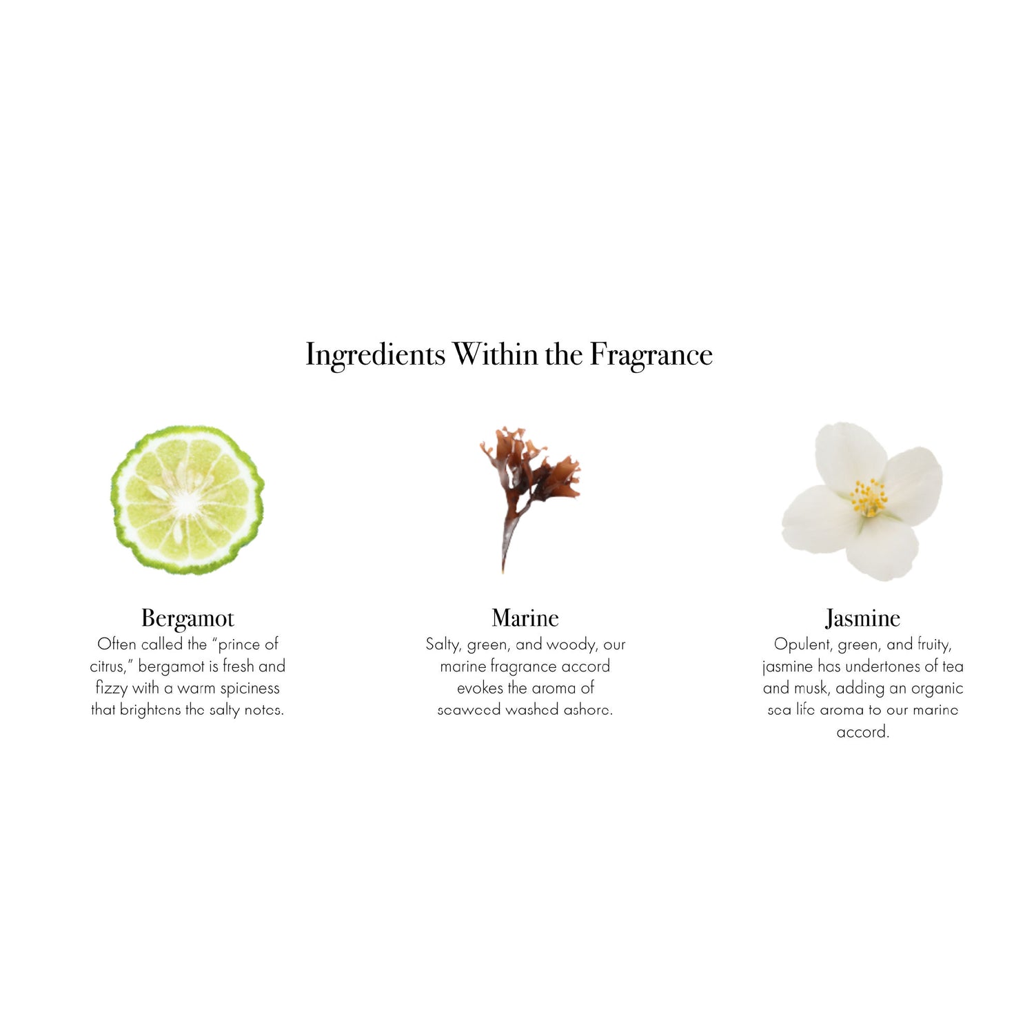 Information related to Lafco Marine Reed Diffuser Refill