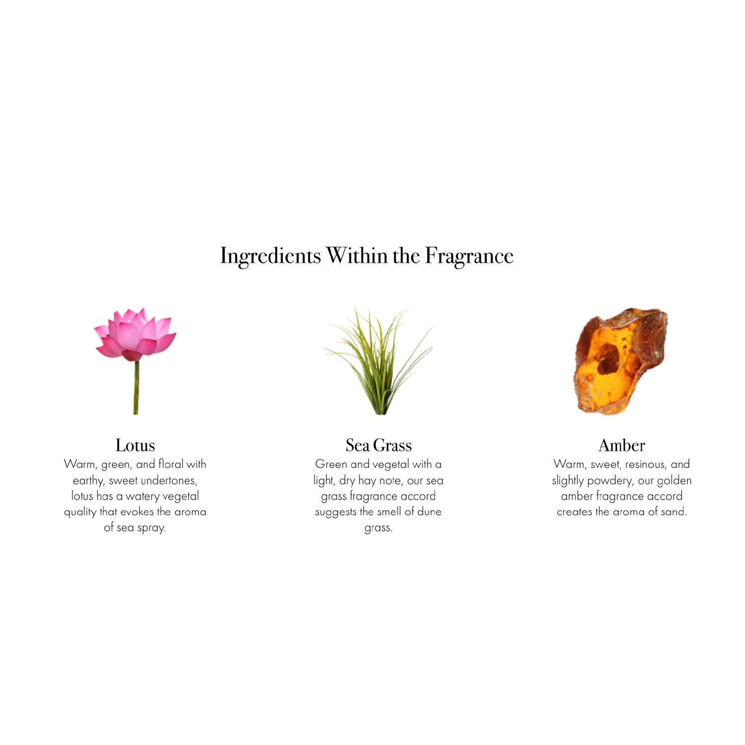 Information related to Lafco Sea & Dune Reed Diffuser Refill