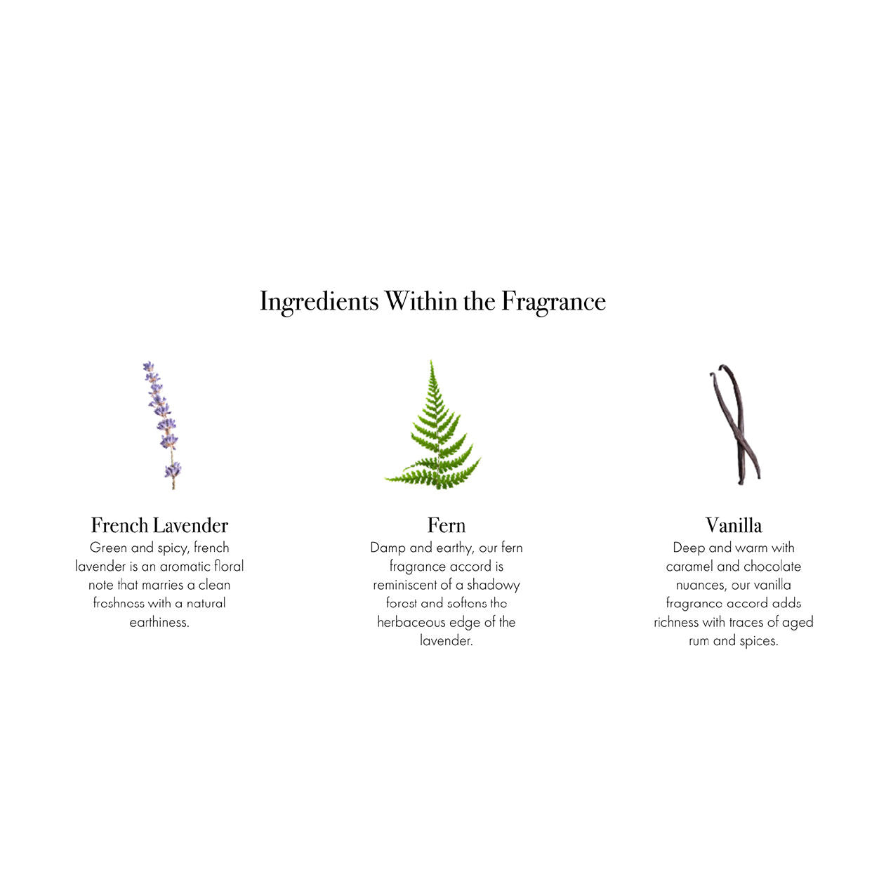 Information related to Lafco Lavender Amber Signature Candle