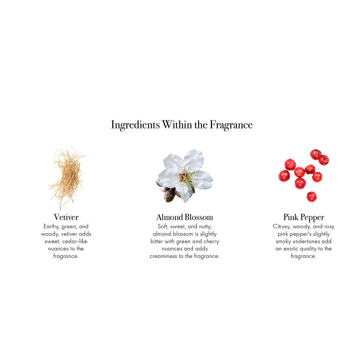 Information related to Lafco Vetiver Sage Signature Candle