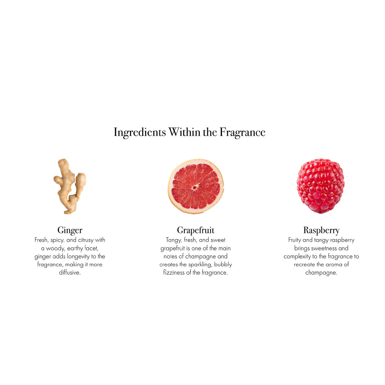 Information related to Lafco Champagne Liquid Soap