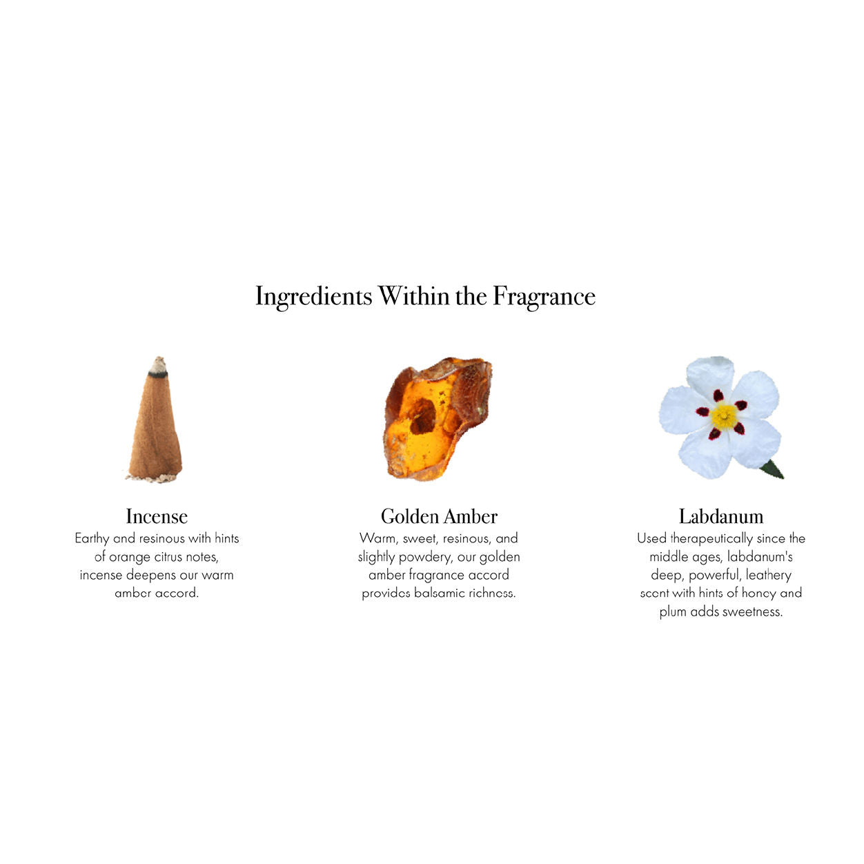 Information related to Lafco Amber Signature Candle