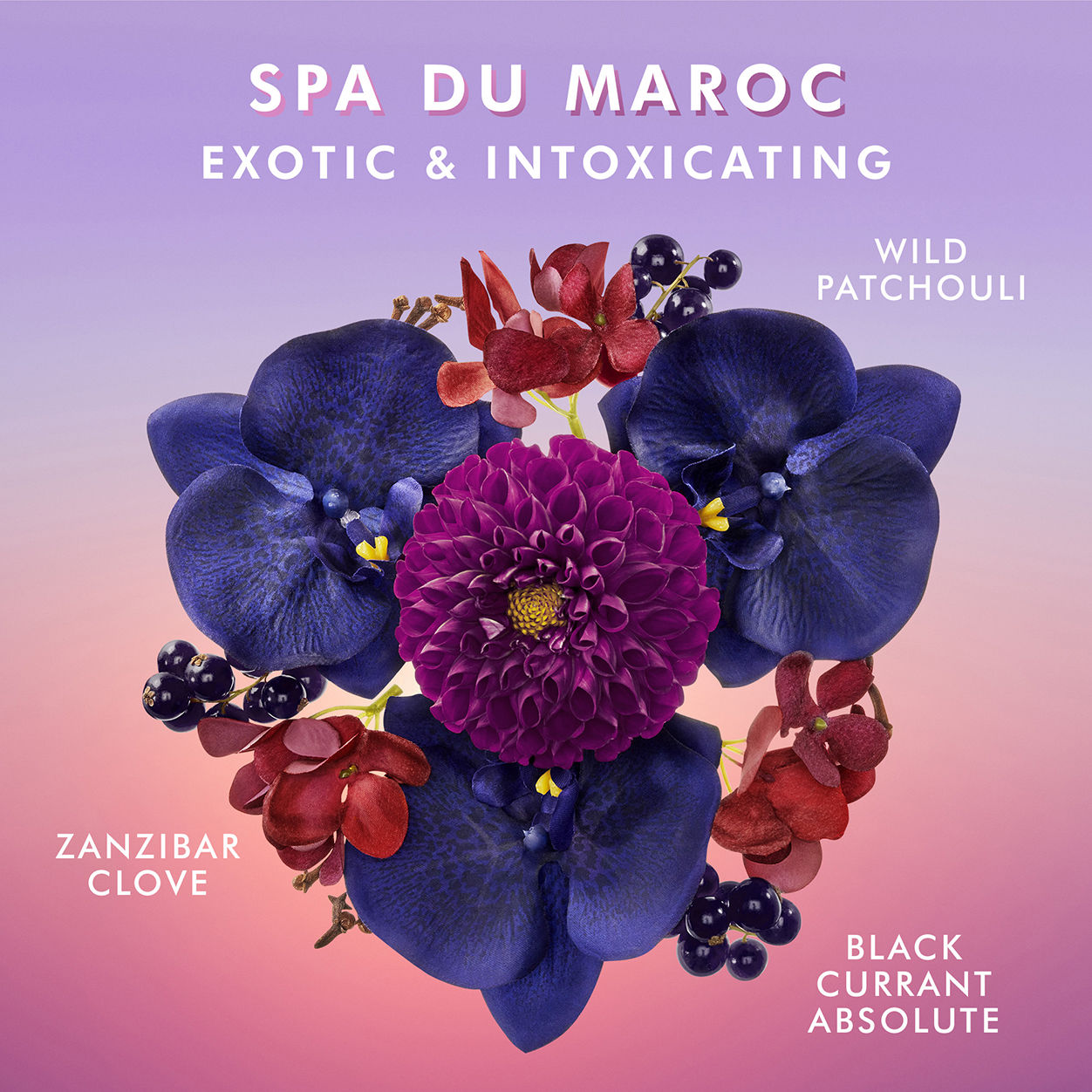 Model image of Moroccanoil Body Lotion Spa du Maroc