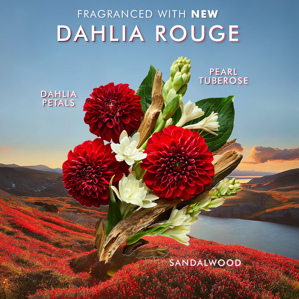 Information related to Moroccanoil Dahlia Rouge Hand Wash