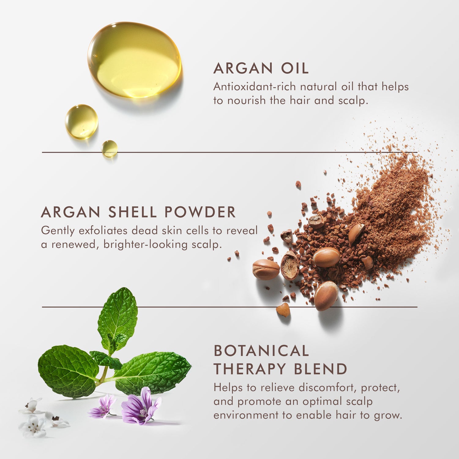 Information related to Moroccanoil Purifying Scalp Scrub