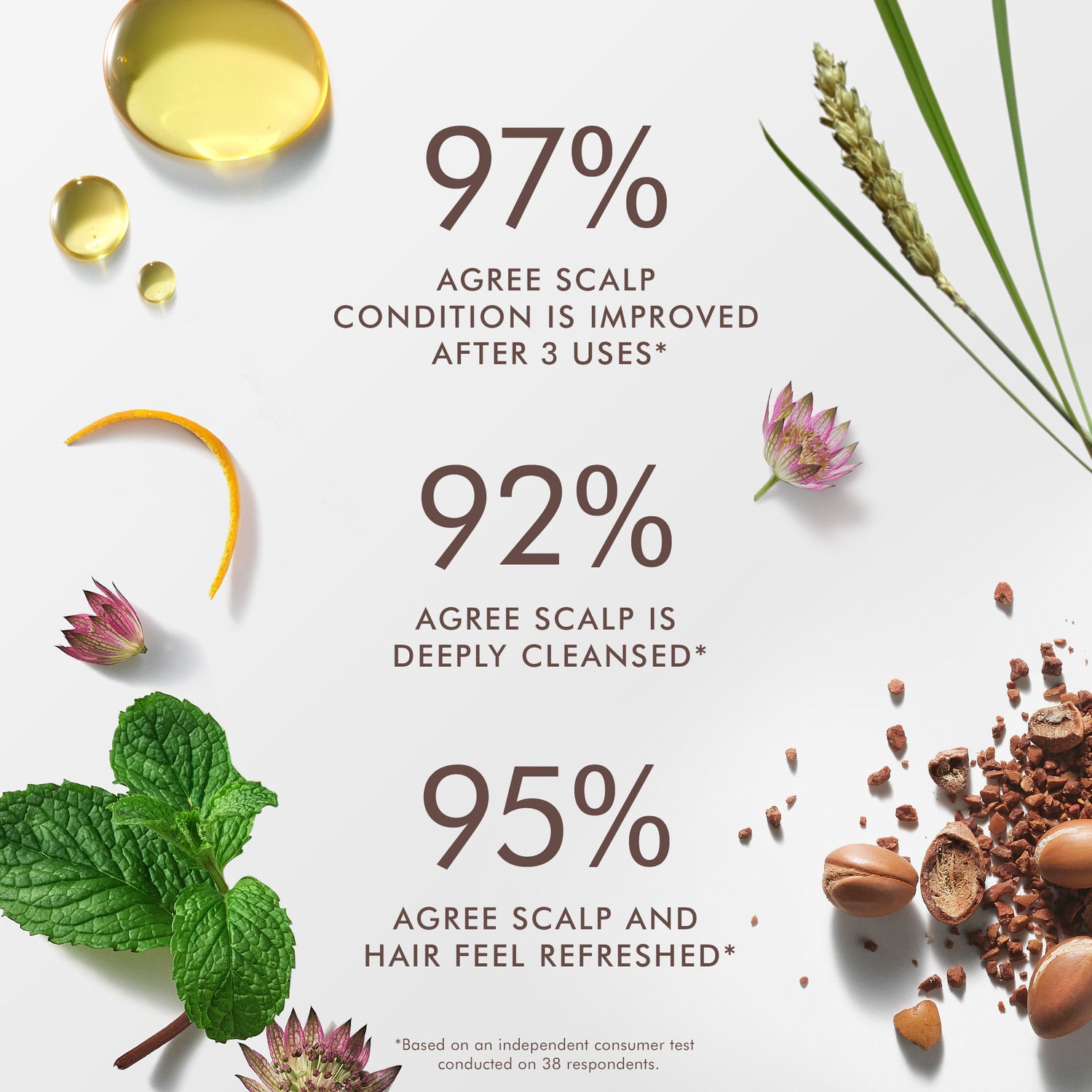 Information related to Moroccanoil Purifying Scalp Scrub