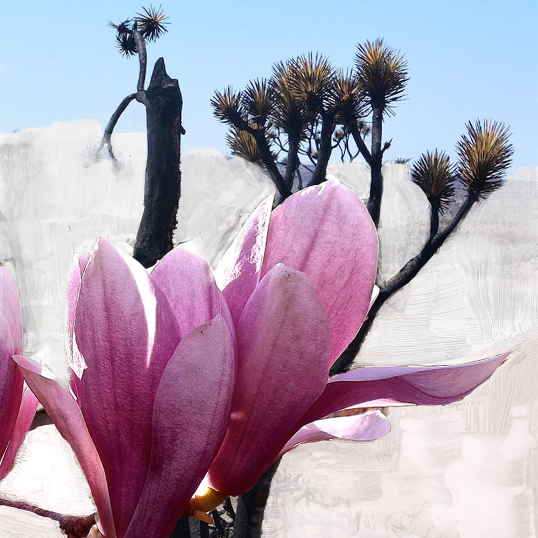 Lifestyle image of Byredo Mojave Ghost Body Wash