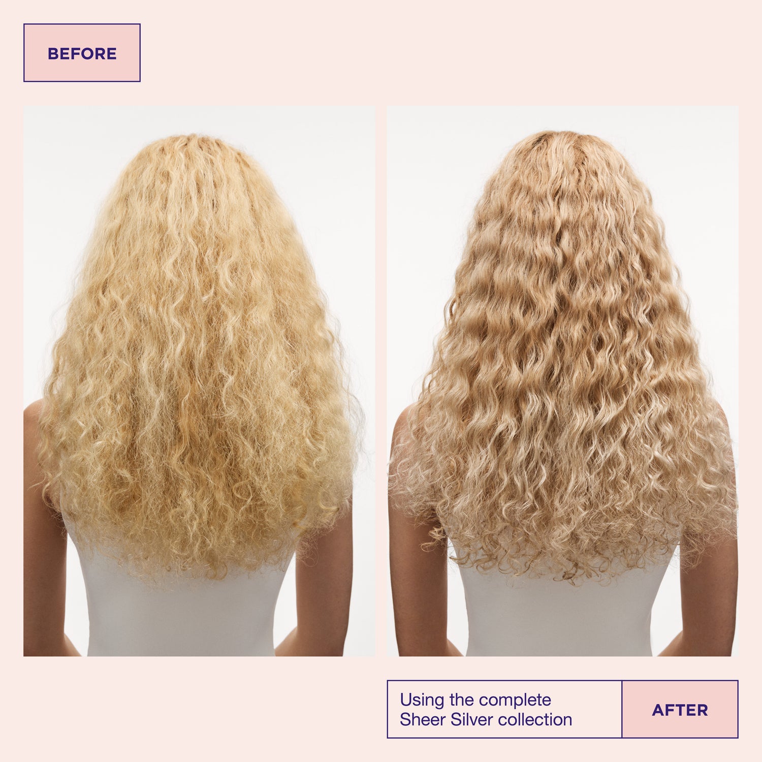 Before and after results of using Maria Nila Sheer Silver Conditioner