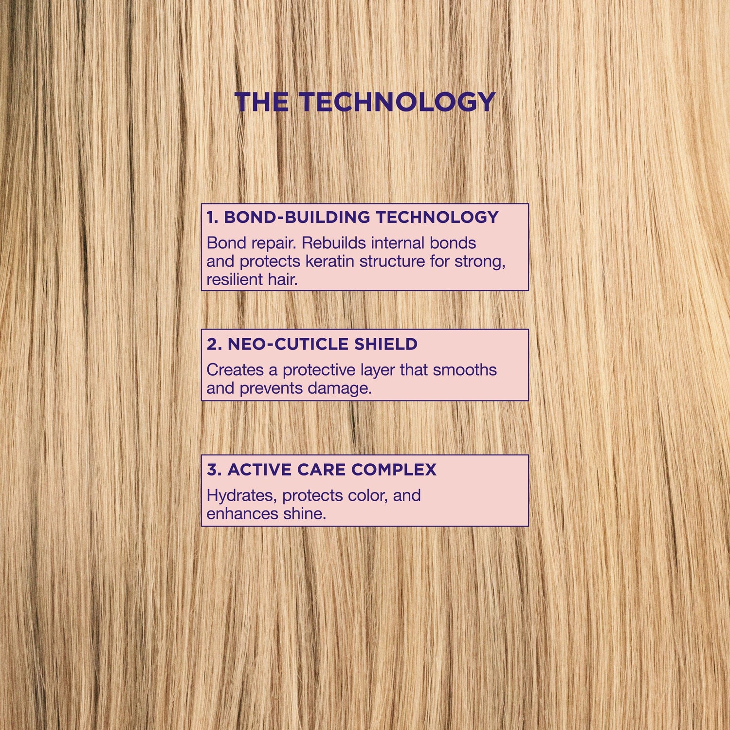 Information related to Maria Nila Bond Builder