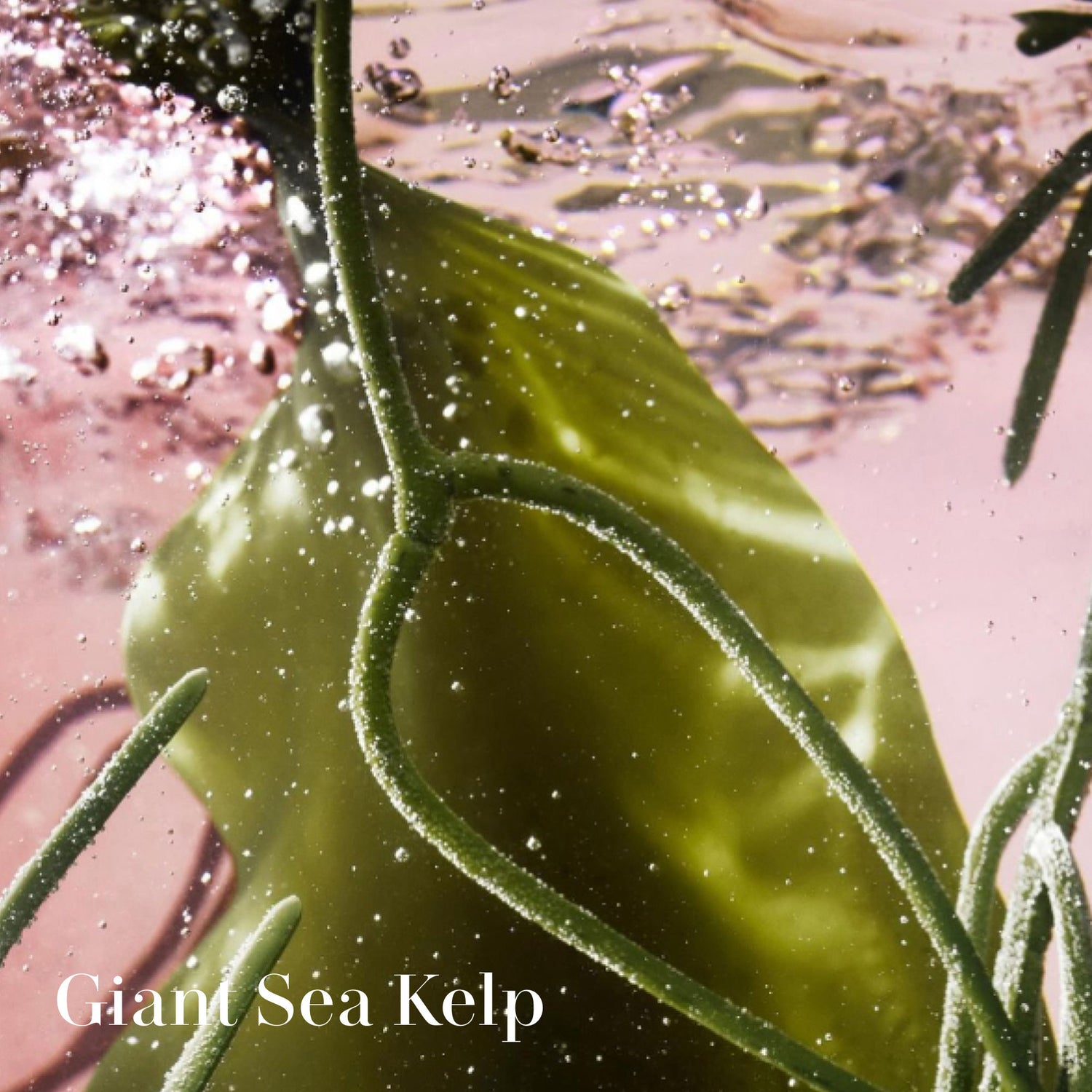 Information related to La Mer The Renewing Energy Trio (Limited Edition)