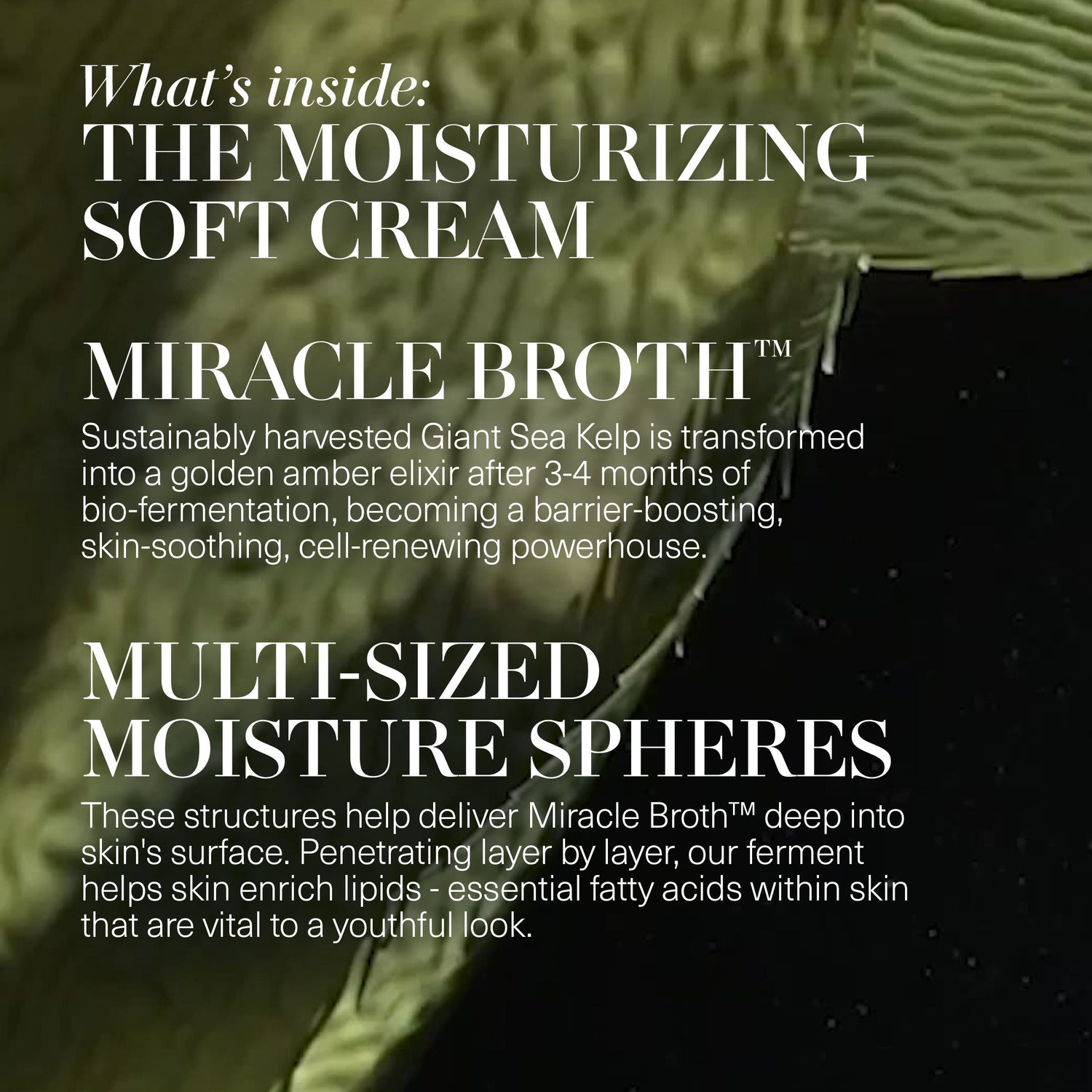 Information related to La Mer The Day and Night Duet (Limited Edition)