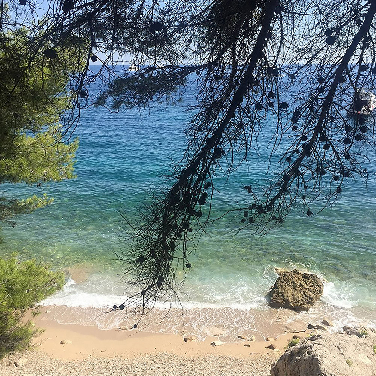 Lifestyle image of Veronique Gabai Sur La Plage