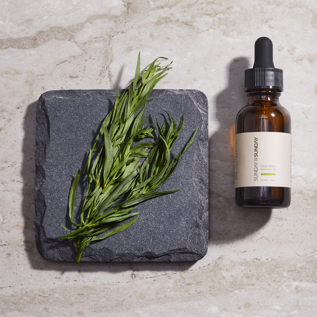 Lifestyle image of Sunday II Sunday Tea Tree Essential Oil