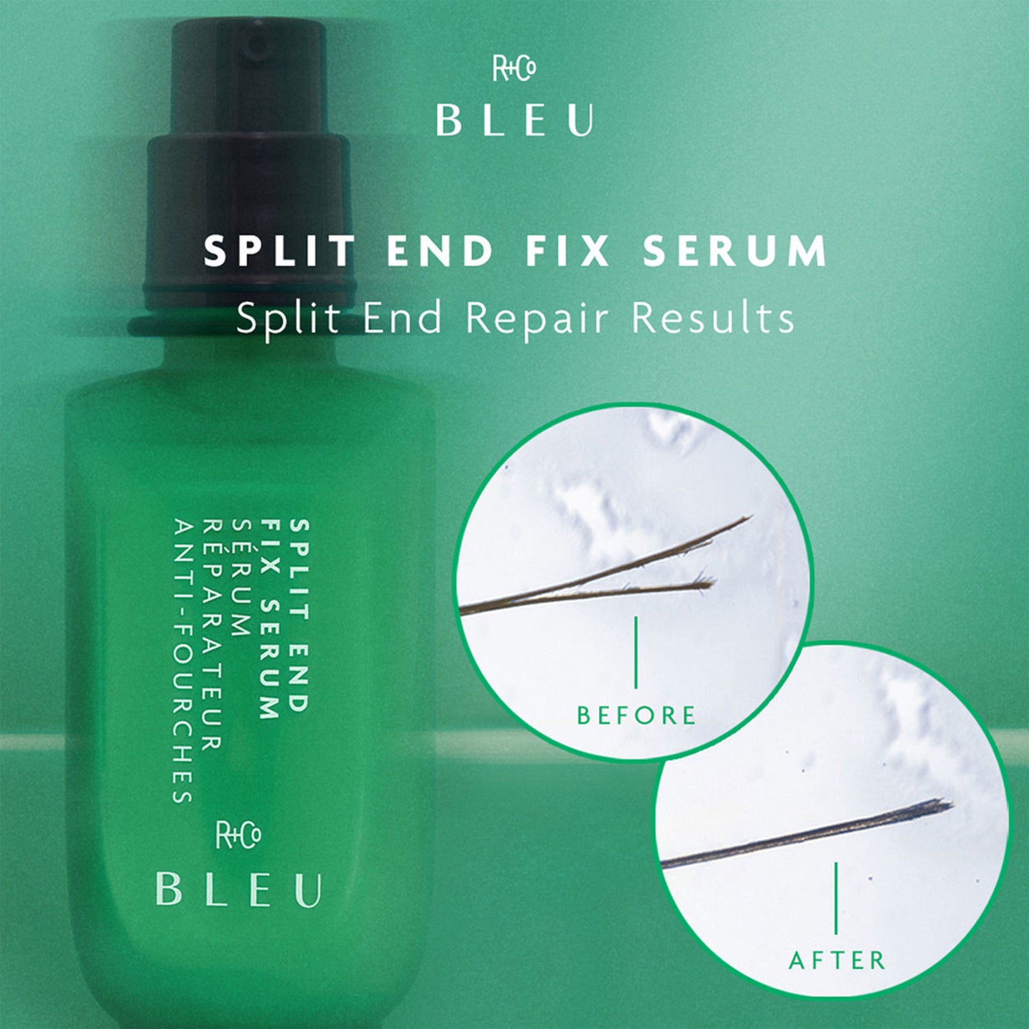 R+Co Bleu Split End Fix infographics image .
