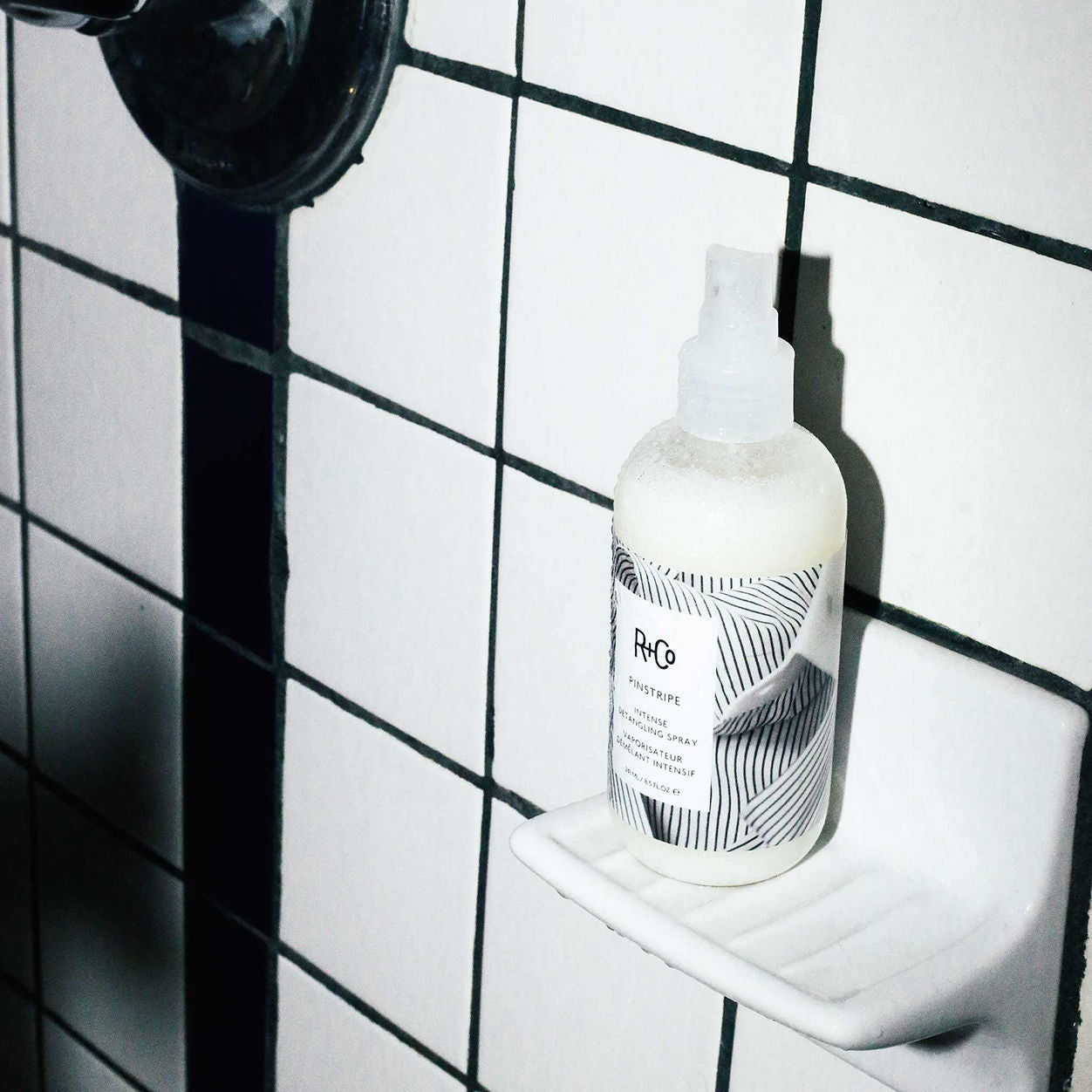 Lifestyle image of R+Co Pinstripe Intense Detangling Spray