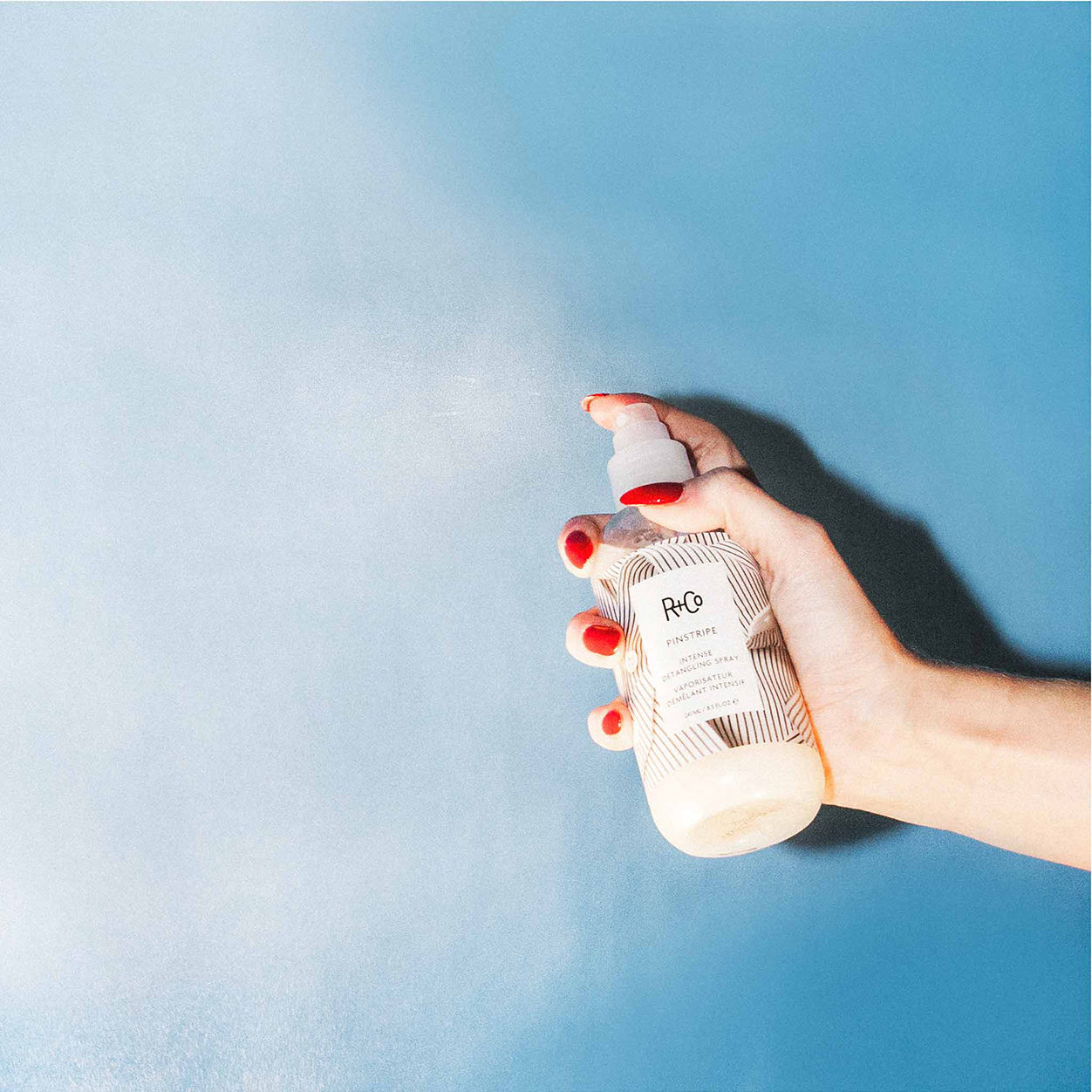 Lifestyle image of R+Co Pinstripe Intense Detangling Spray