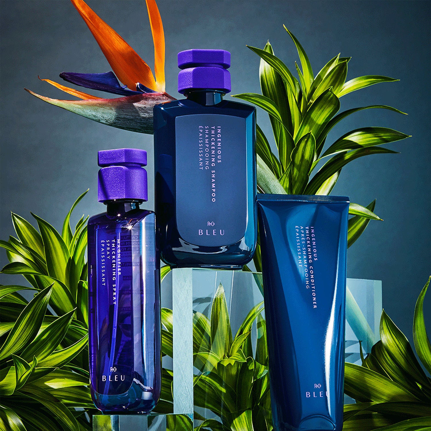 Lifestyle image of R+Co Bleu Ingenious Thickening Conditioner
