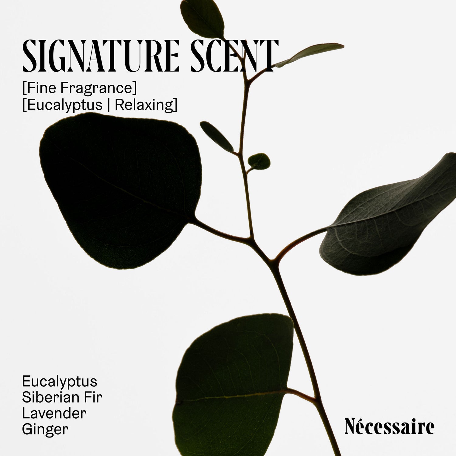 Information related to Nécessaire The Body Lotion Eucalyptus