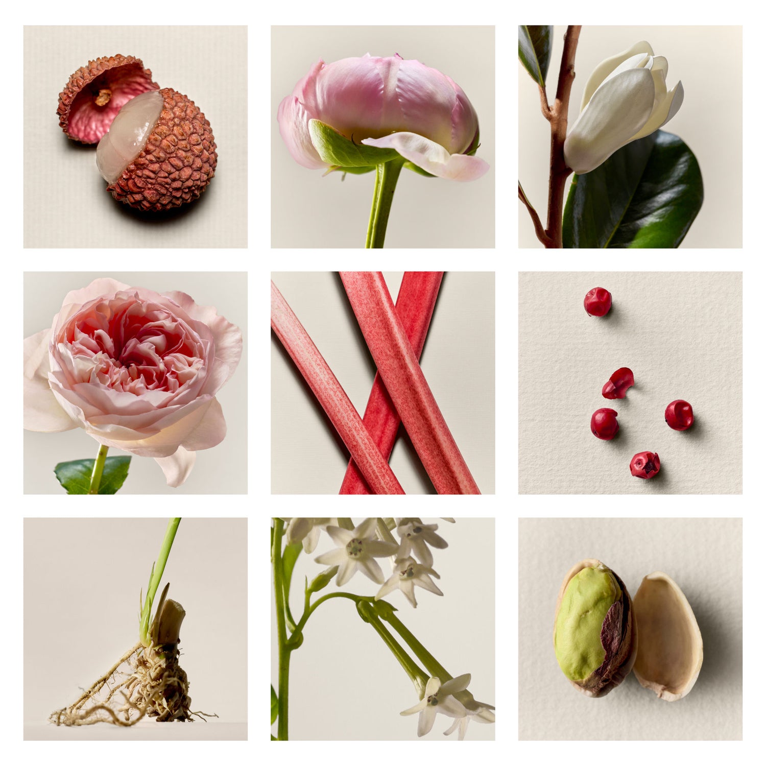 Lifestyle image of U Beauty The Fragrance Set (Limited Edition)