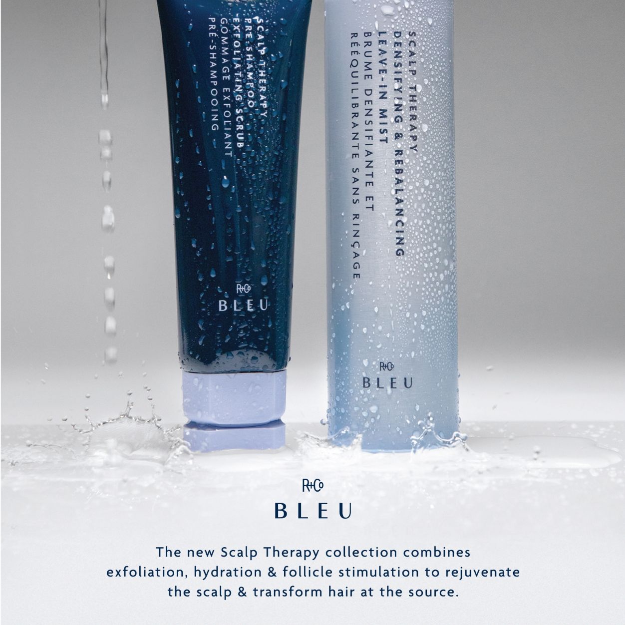 Information related to R+Co Bleu Scalp Therapy Pre-Shampoo Exfoliating Scrub