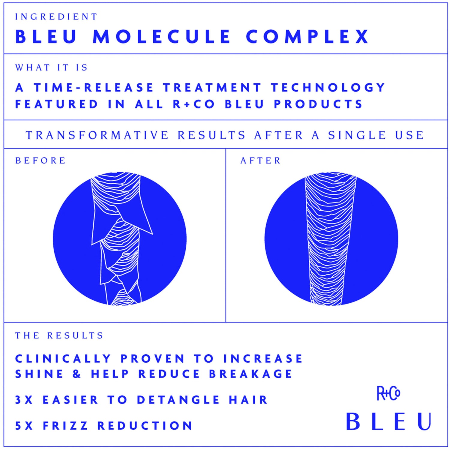 Information related to R+Co Bleu Ingenious Thickening Masque