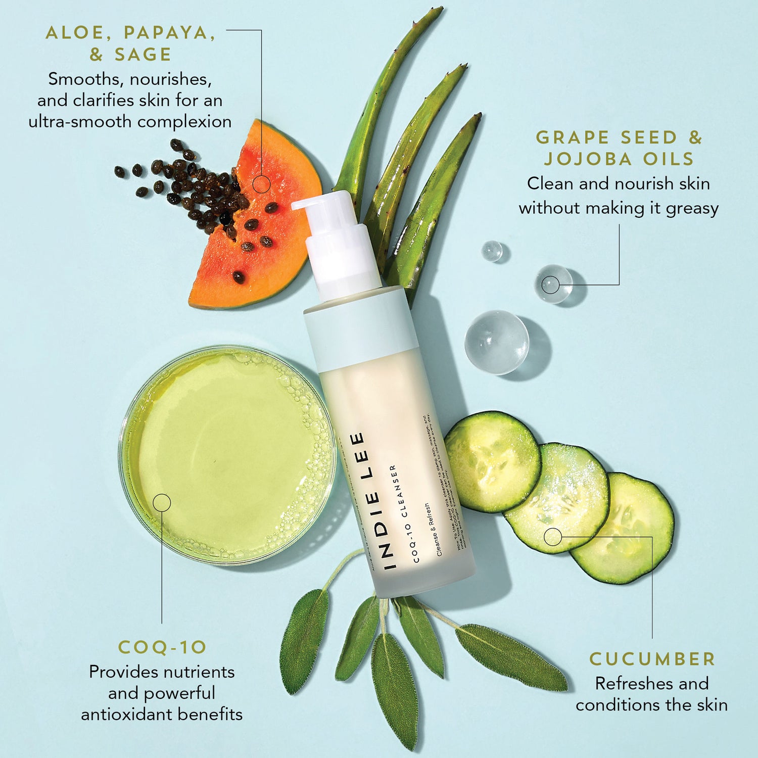 Information related to Indie Lee CoQ-10 Cleanser
