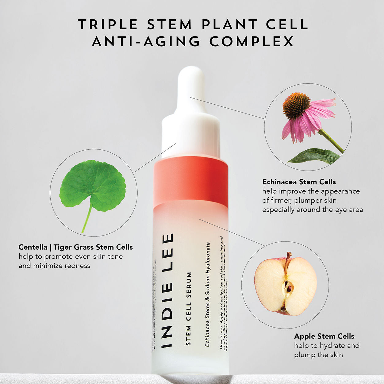 Information related to Indie Lee Stem Cell Serum