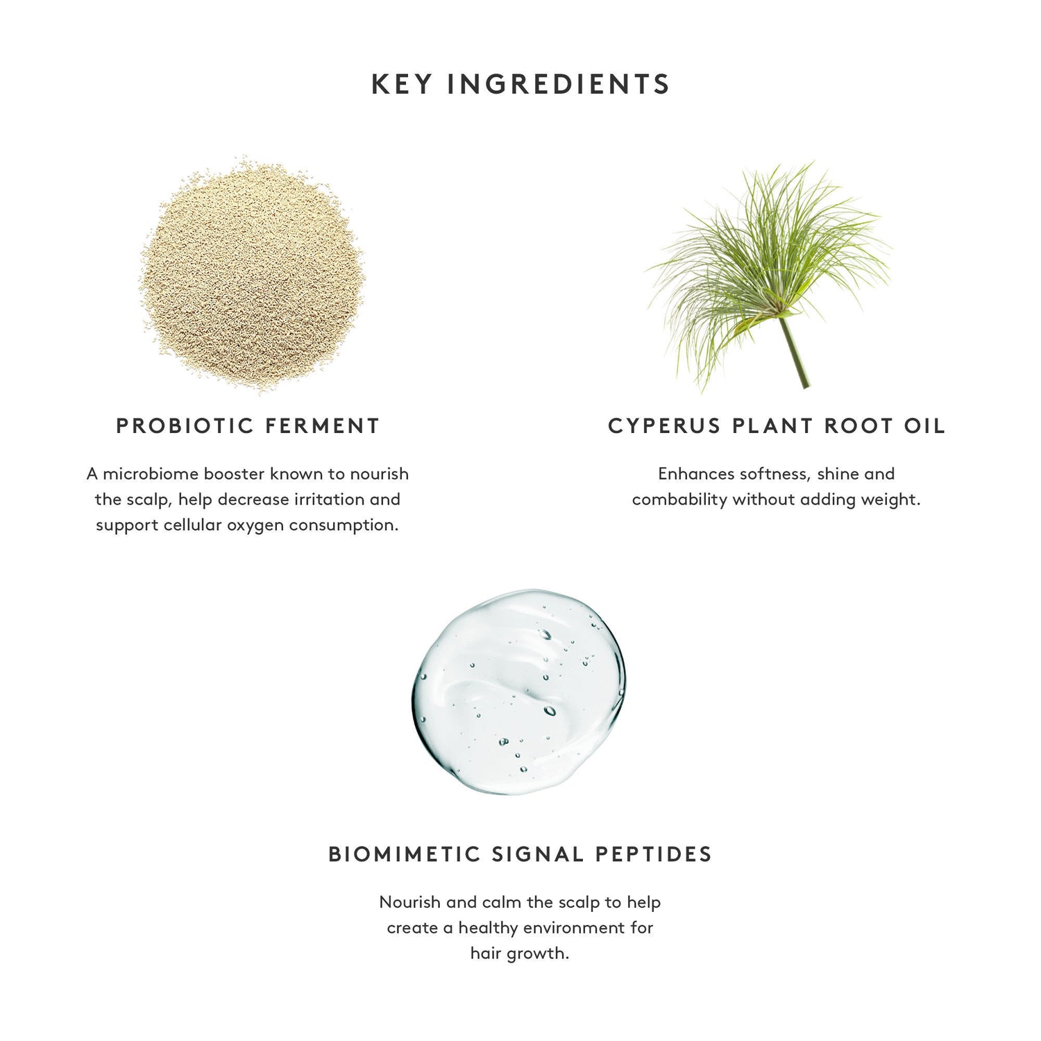 Lifestyle image of Virtue Flourish Conditioner For Thinning Hair