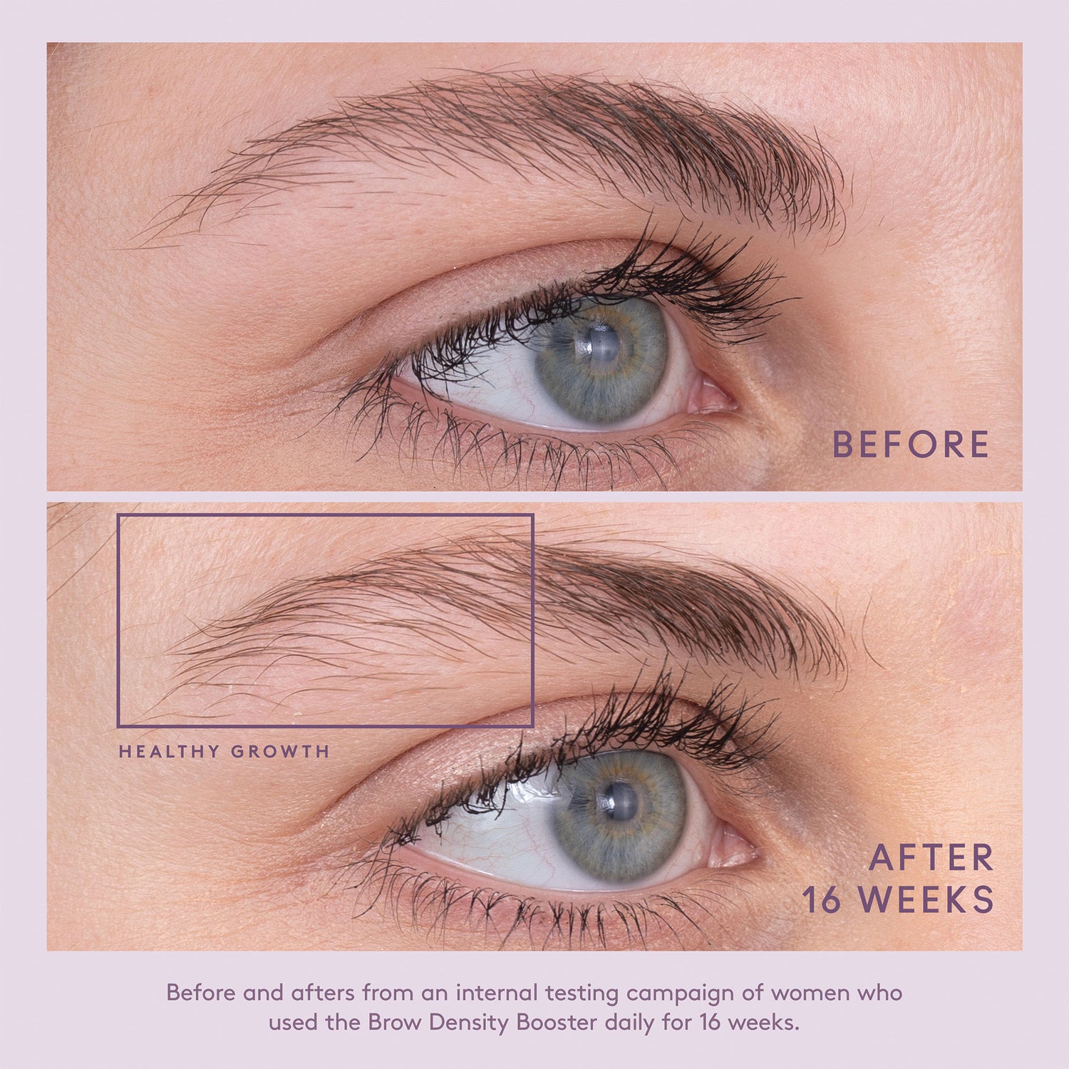 Before and after results of using Virtue Flourish Brow Density Booster