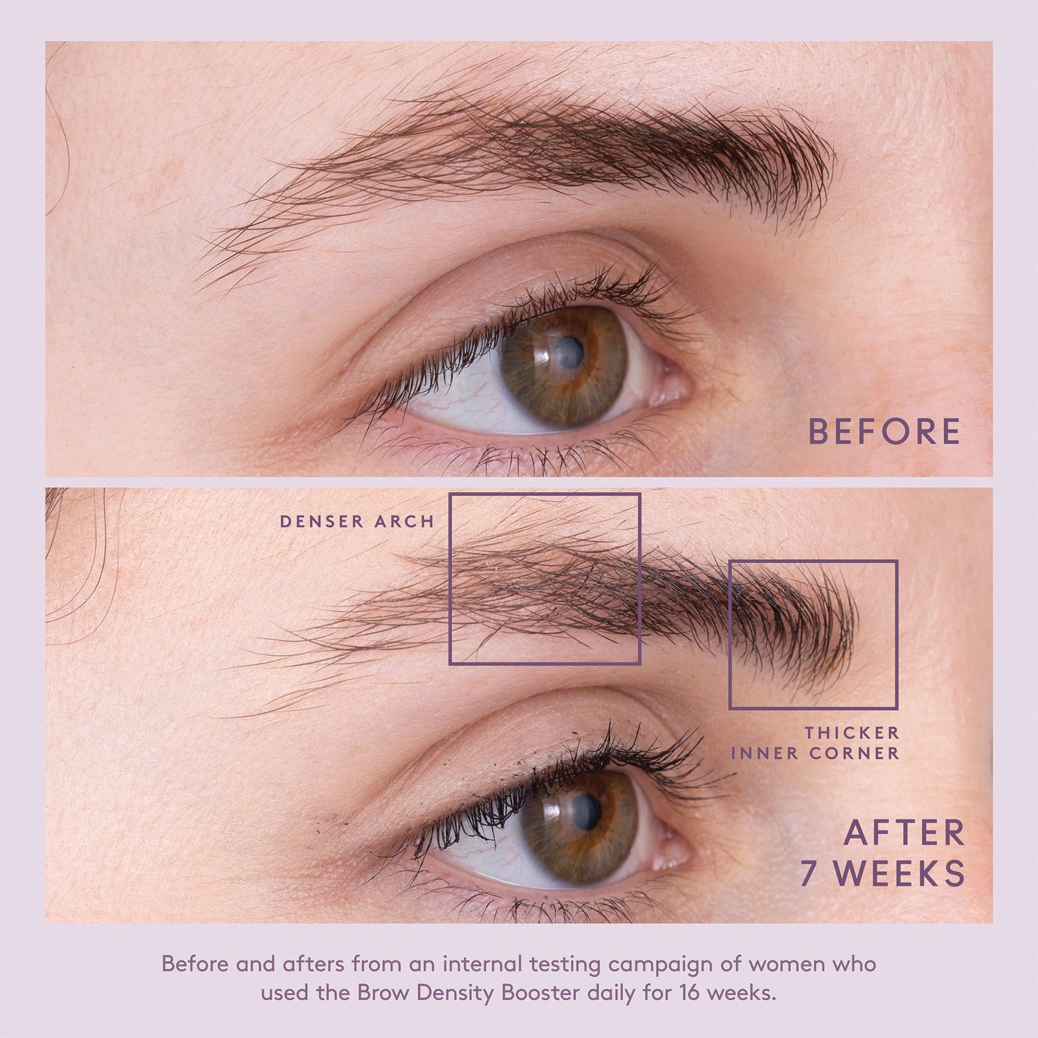 Before and after results of using Virtue Flourish Brow Density Booster