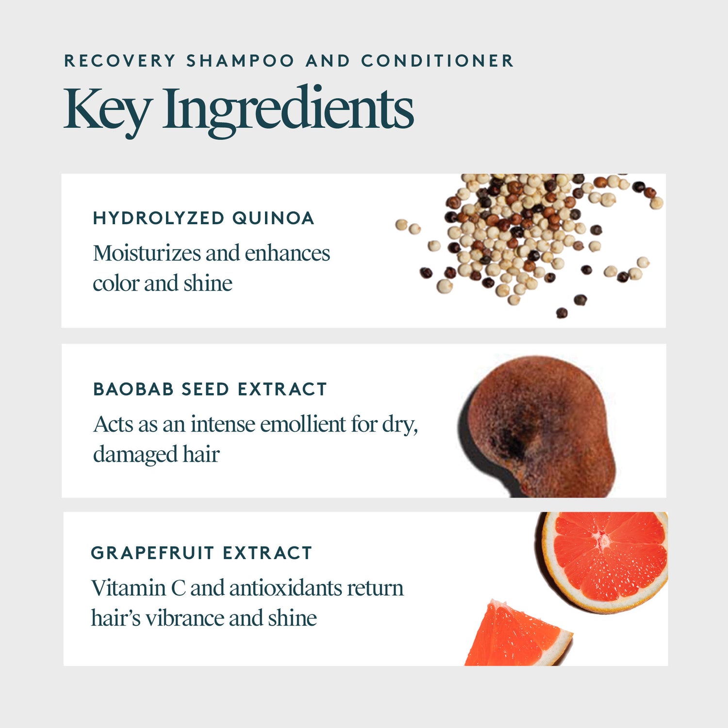 Information related to Virtue Jumbo Size Recovery Shampoo & Conditioner Duo (Limited Edition)